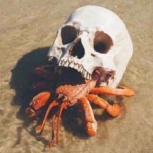 Meet your Posher, Ben